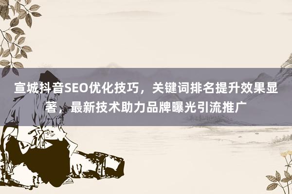 宣城抖音SEO优化技巧，关键词排名提升效果显著，最新技术助力品牌曝光引流推广