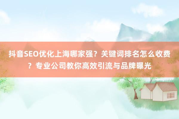抖音SEO优化上海哪家强？关键词排名怎么收费？专业公司教你高效引流与品牌曝光