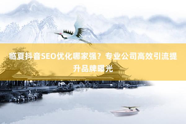 临夏抖音SEO优化哪家强？专业公司高效引流提升品牌曝光