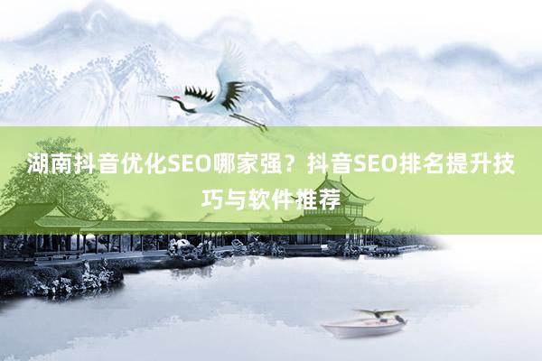 湖南抖音优化SEO哪家强？抖音SEO排名提升技巧与软件推荐