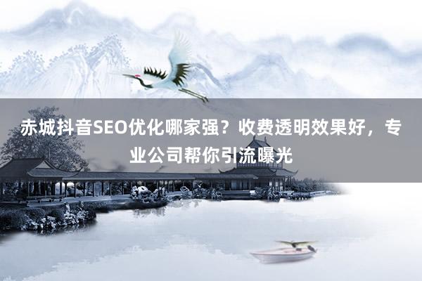 赤城抖音SEO优化哪家强？收费透明效果好，专业公司帮你引流曝光