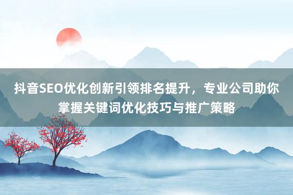 抖音SEO优化创新引领排名提升，专业公司助你掌握关键词优化技巧与推广策略