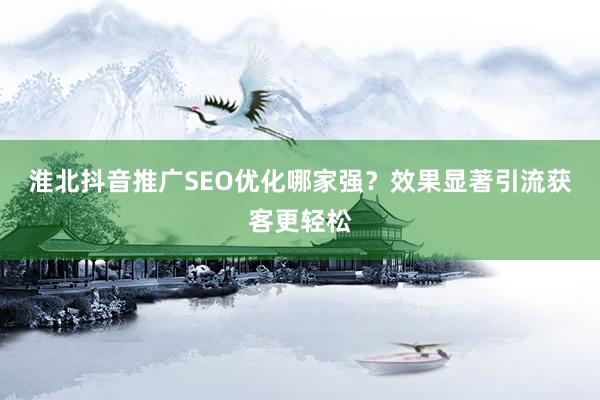 淮北抖音推广SEO优化哪家强？效果显著引流获客更轻松