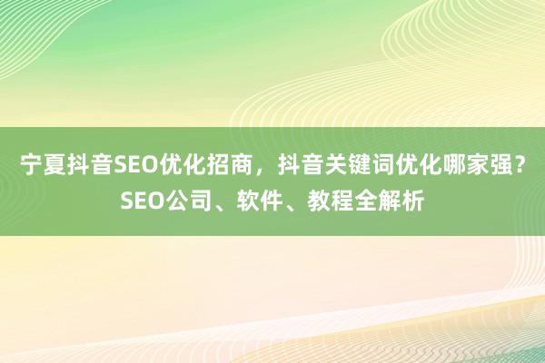 宁夏抖音SEO优化招商，抖音关键词优化哪家强？SEO公司、软件、教程全解析