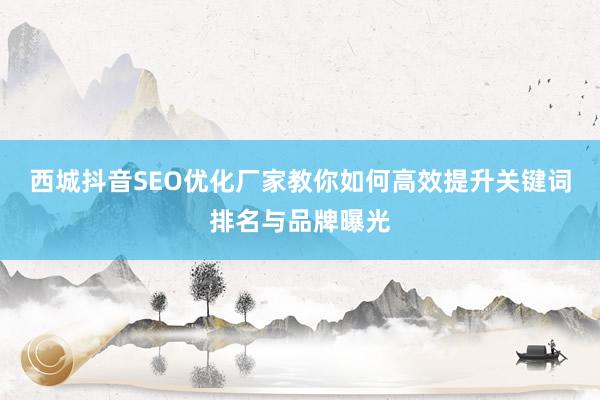 西城抖音SEO优化厂家教你如何高效提升关键词排名与品牌曝光