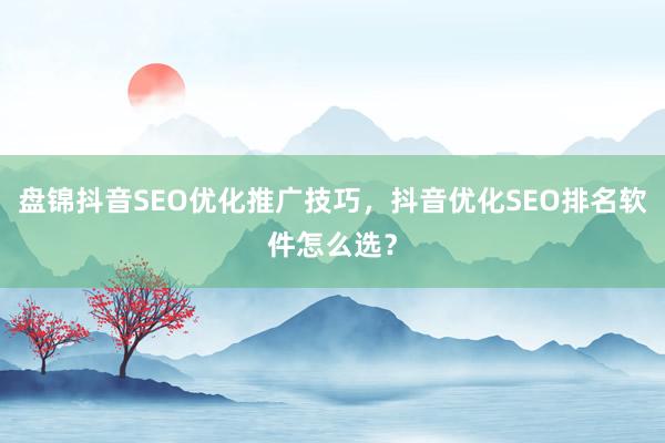 盘锦抖音SEO优化推广技巧，抖音优化SEO排名软件怎么选？