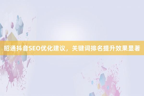 昭通抖音SEO优化建议，关键词排名提升效果显著