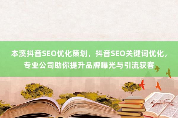 本溪抖音SEO优化策划，抖音SEO关键词优化，专业公司助你提升品牌曝光与引流获客