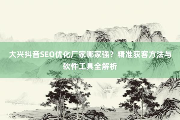 大兴抖音SEO优化厂家哪家强？精准获客方法与软件工具全解析