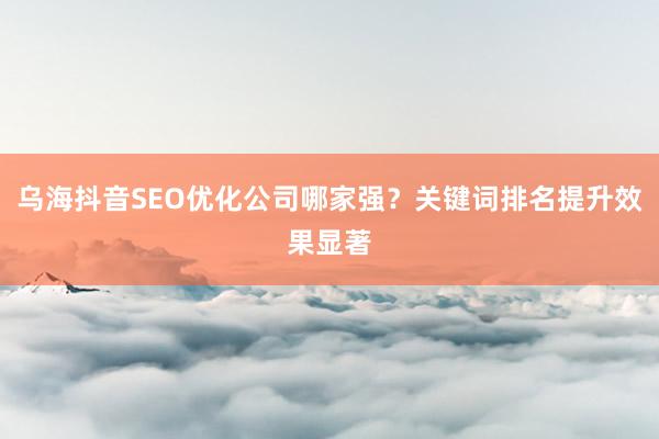 乌海抖音SEO优化公司哪家强？关键词排名提升效果显著