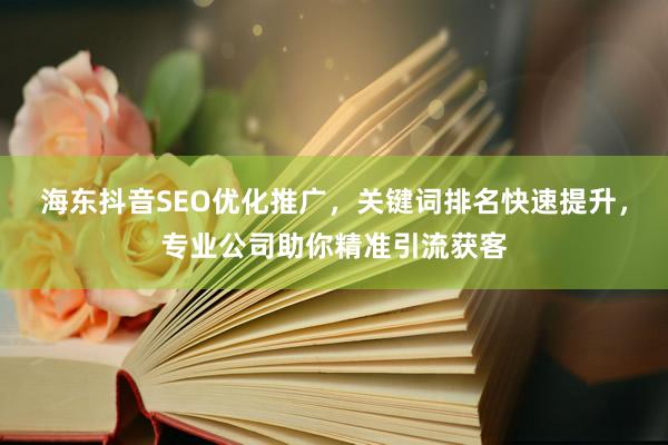 海东抖音SEO优化推广，关键词排名快速提升，专业公司助你精准引流获客