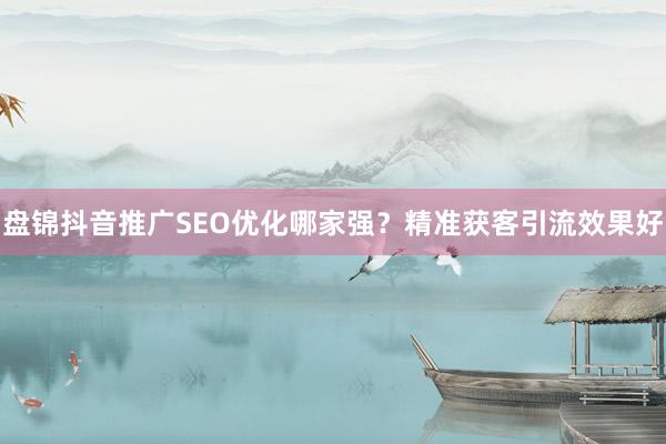 盘锦抖音推广SEO优化哪家强？精准获客引流效果好