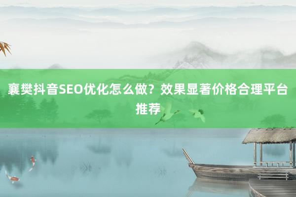 襄樊抖音SEO优化怎么做？效果显著价格合理平台推荐