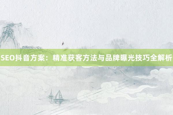 SEO抖音方案：精准获客方法与品牌曝光技巧全解析