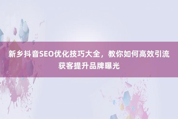 新乡抖音SEO优化技巧大全,教你如何高效引流获客提升品牌曝光