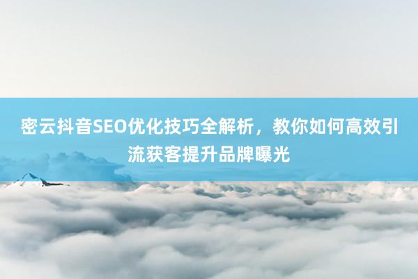 密云抖音SEO优化技巧全解析,教你如何高效引流获客提升品牌曝光