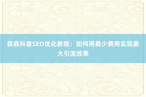 森森抖音SEO优化教程:如何用最少费用实现最大引流效果