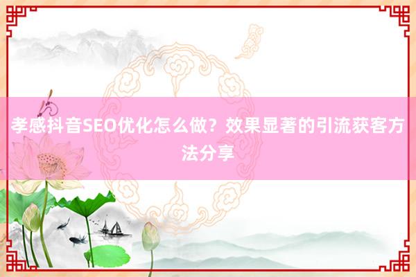 孝感抖音SEO优化怎么做？效果显著的引流获客方法分享