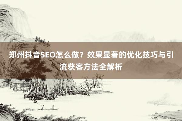 郑州抖音SEO怎么做?效果显著的优化技巧与引流获客方法全解析