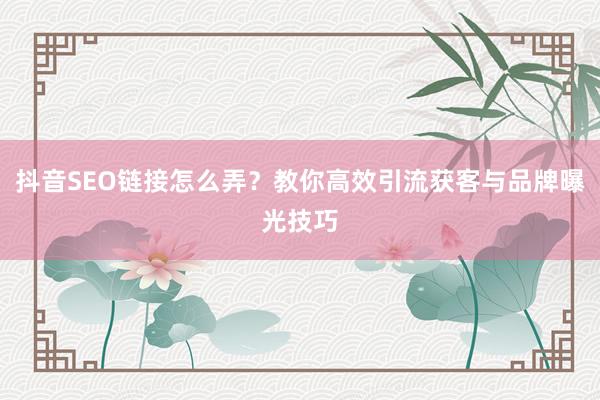 抖音SEO链接怎么弄?教你高效引流获客与品牌曝光技巧