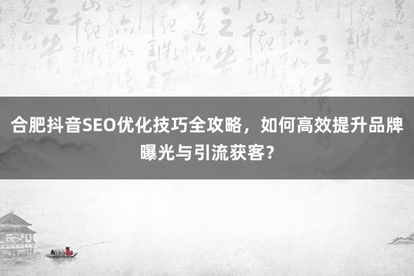 合肥抖音SEO优化技巧全攻略,如何高效提升品牌曝光与引流获客?