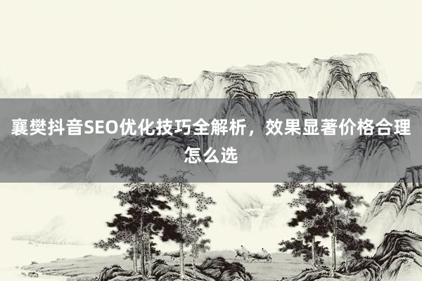 襄樊抖音SEO优化技巧全解析,效果显著价格合理怎么选