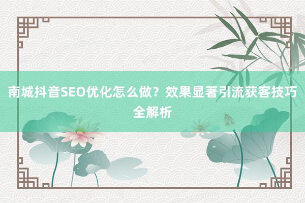 南城抖音SEO优化怎么做？效果显著引流获客技巧全解析