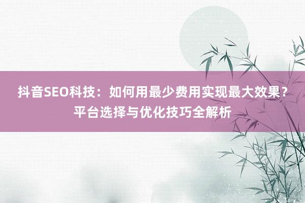 抖音SEO科技:如何用最少费用实现最大效果?平台选择与优化技巧全解析