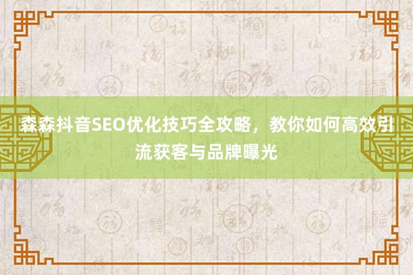 森森抖音SEO优化技巧全攻略,教你如何高效引流获客与品牌曝光