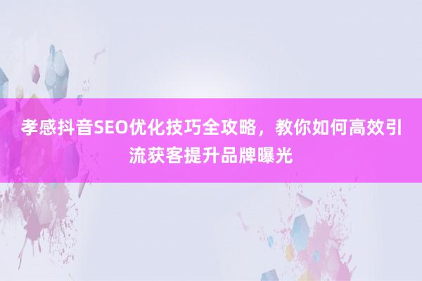 孝感抖音SEO优化技巧全攻略,教你如何高效引流获客提升品牌曝光